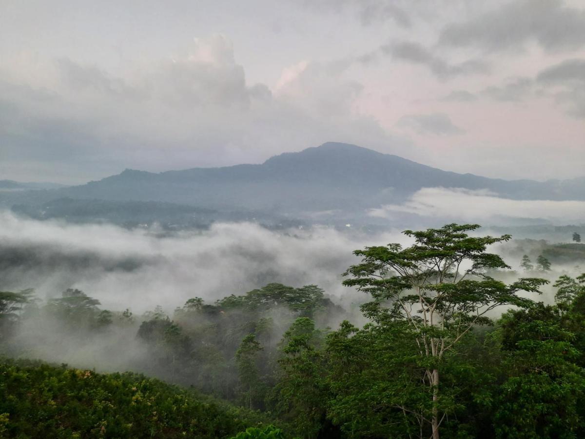 Terrace Cinnamon View Ratnapura Exteriör bild